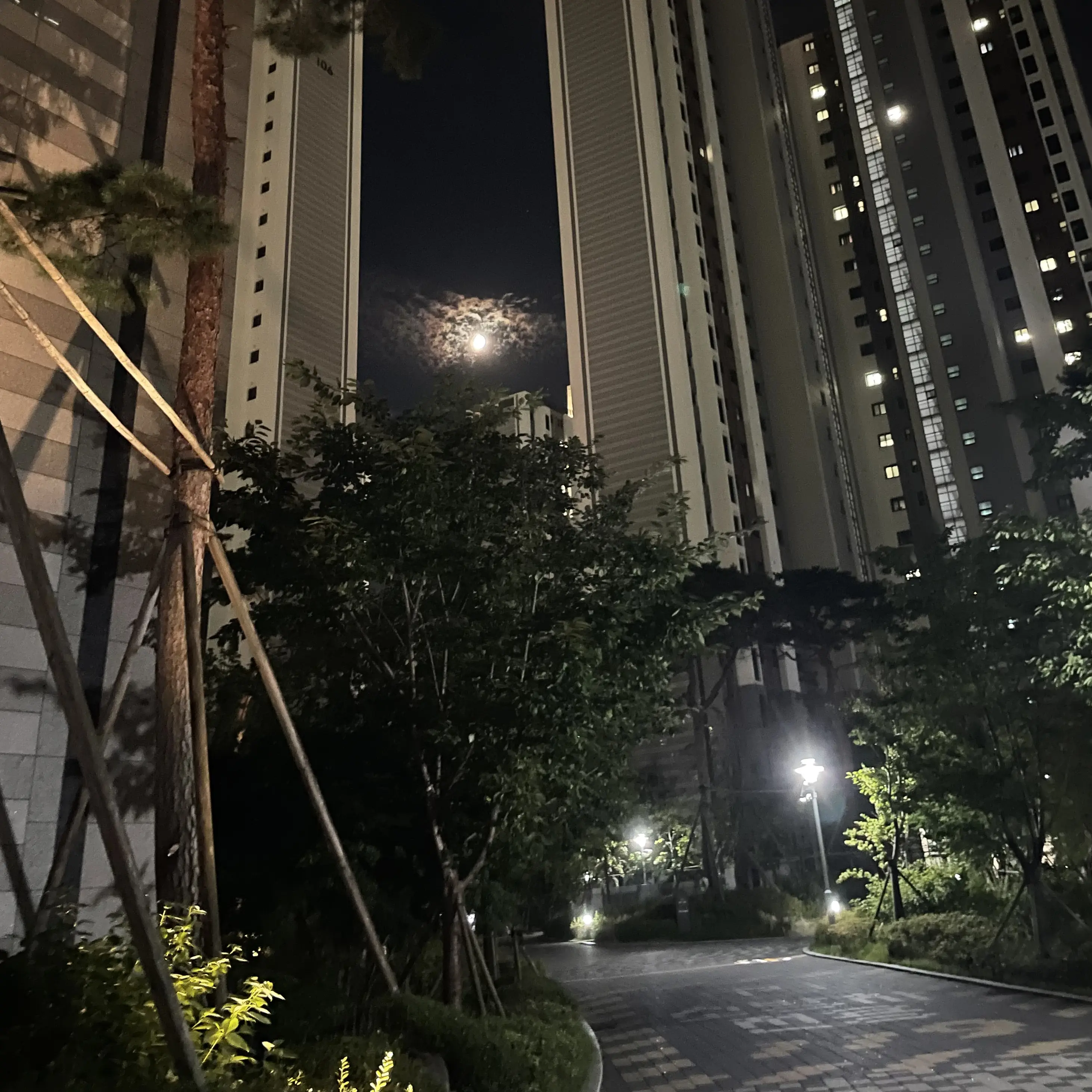 SnowyNewt6848의 강 민