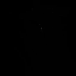 윤채호