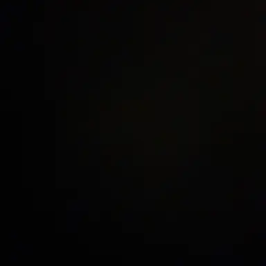 Profile image of 김홍중