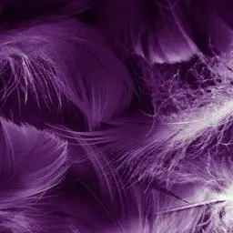 Profile image of TH