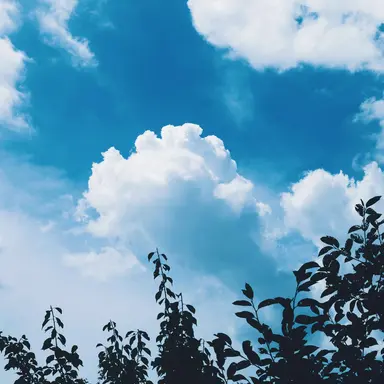 Profile image of 안고