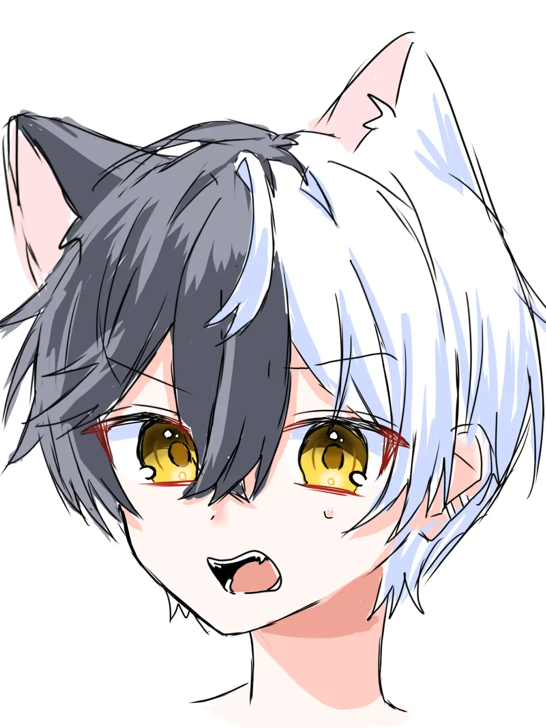 Ayachi_0428의 懐かない猫が貴方を選びました