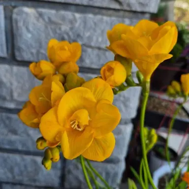 Profile image of 유저