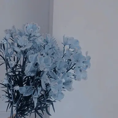 Profile image of Hank