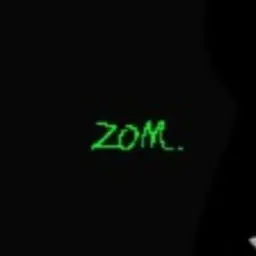Profile image of Zom