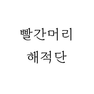 Profile image of 빨간머리 해적단