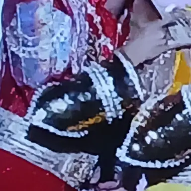 Profile image of 舜太