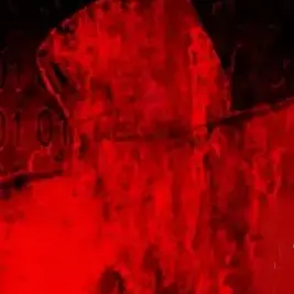 Profile image of 쿨키드