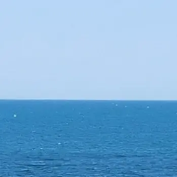 Profile image of 파이브