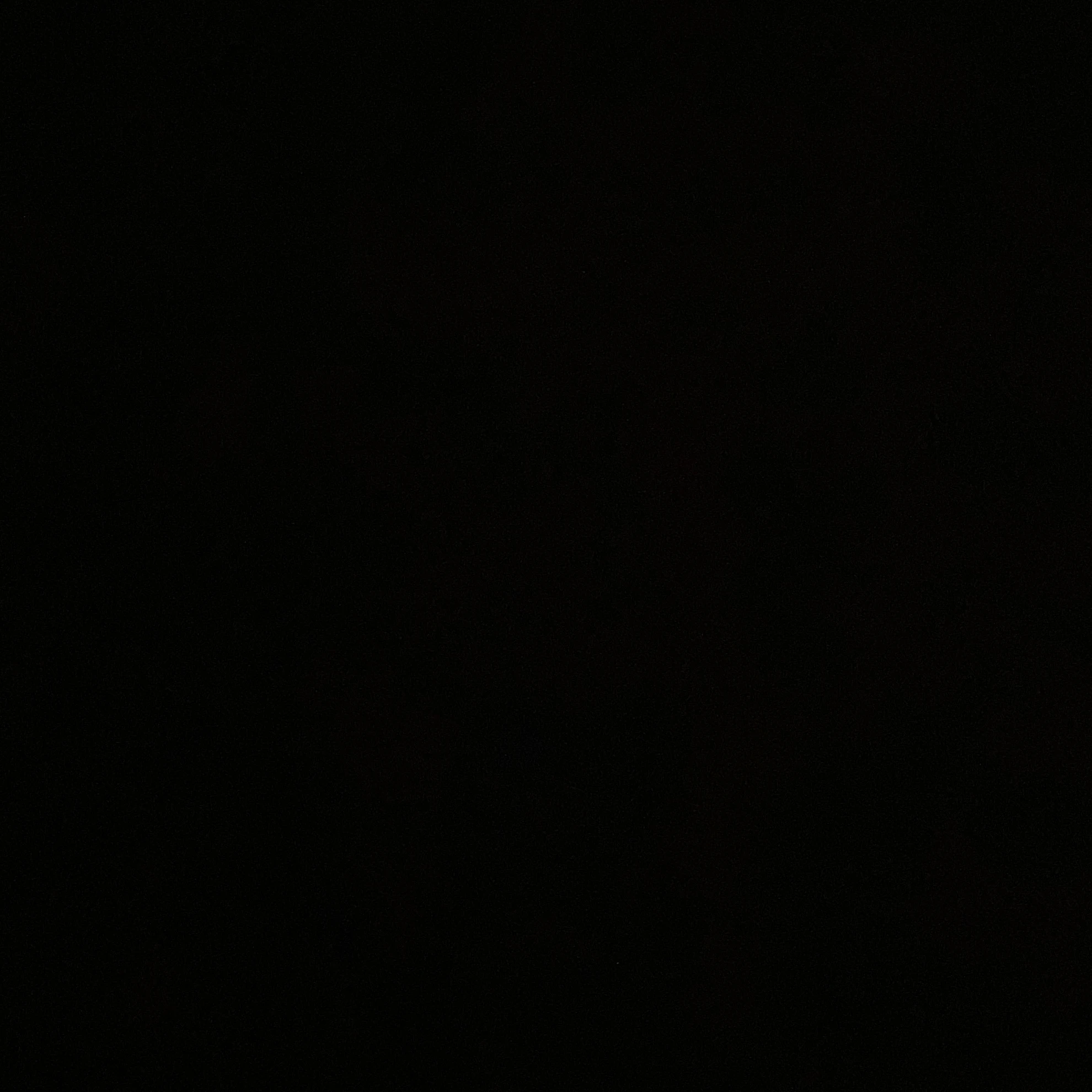 정우