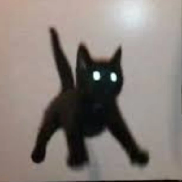 이야아아아악!!!!!