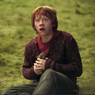 Profile image of Ron weasley