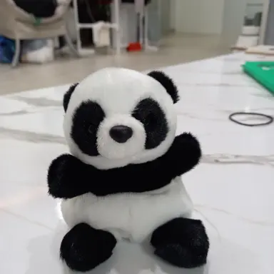 Profile image of 푸바오