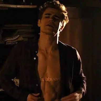 Profile image of Stefan Salvatore