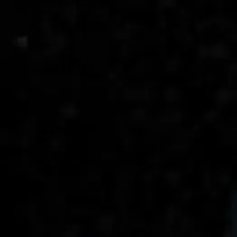 Profile image of 뜰팁 조직