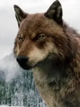 Profile image of Jacob