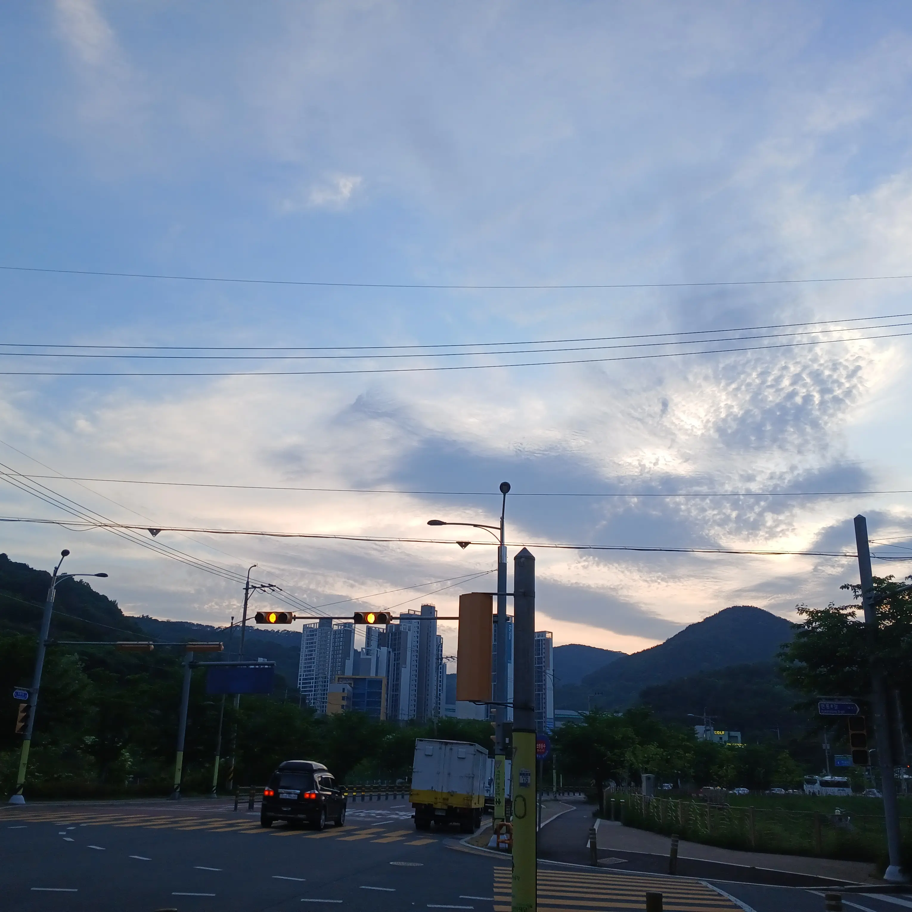 LovelyDingo5677의 03