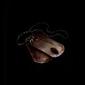 Profile image of Gregor