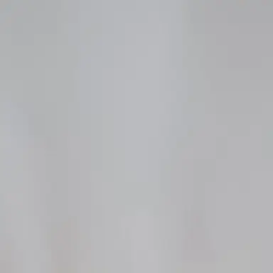 Profile image of 최인자