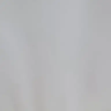 Profile image of 송주란