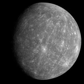 Profile image of 수성