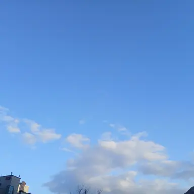 Profile image of 잠뜰