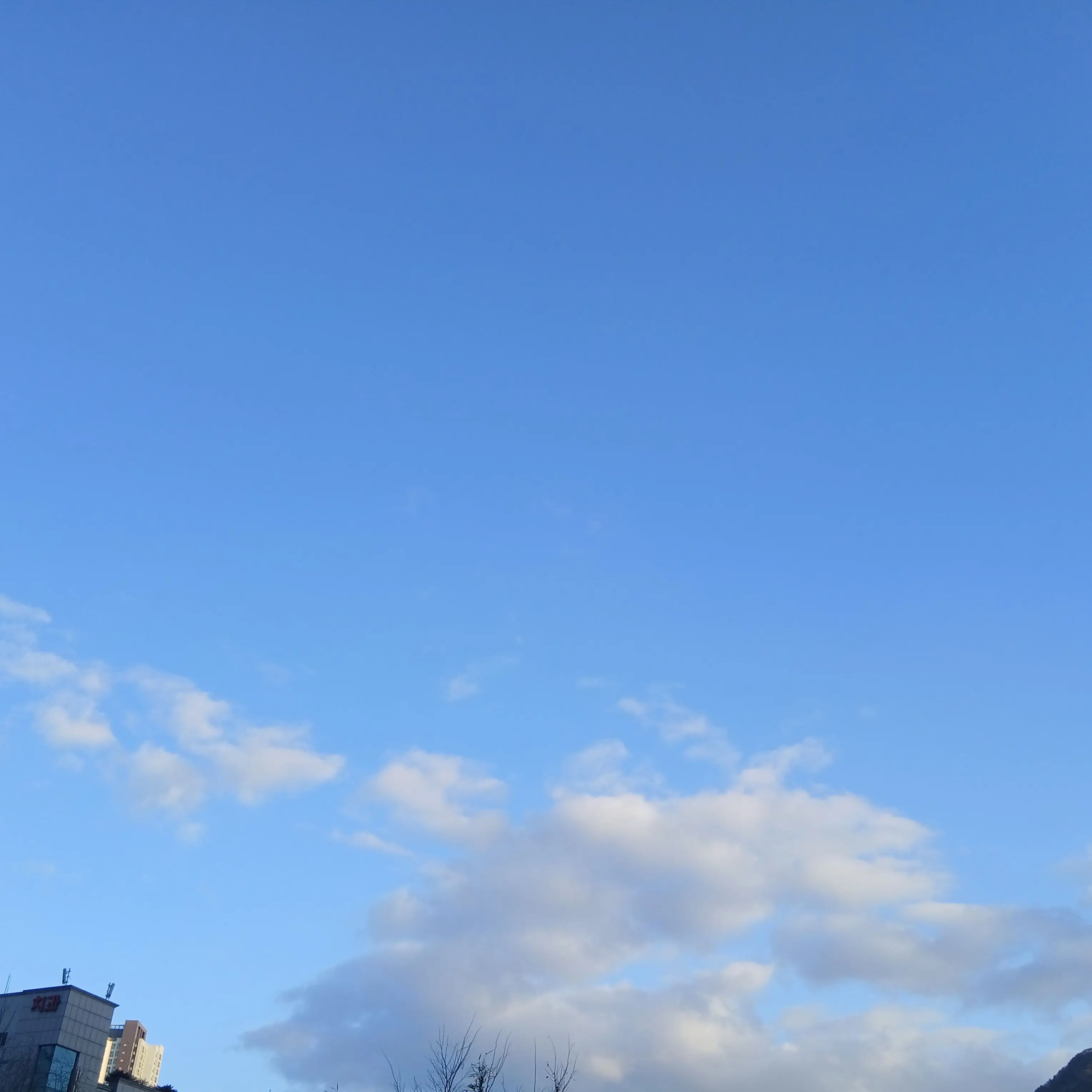 RunnyJazz6634의 뜰팁 정신병원