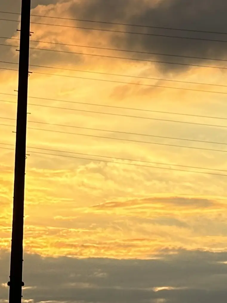 ScenicLady5284의 うさぎさん。