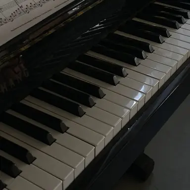 Profile image of 보니타 메이