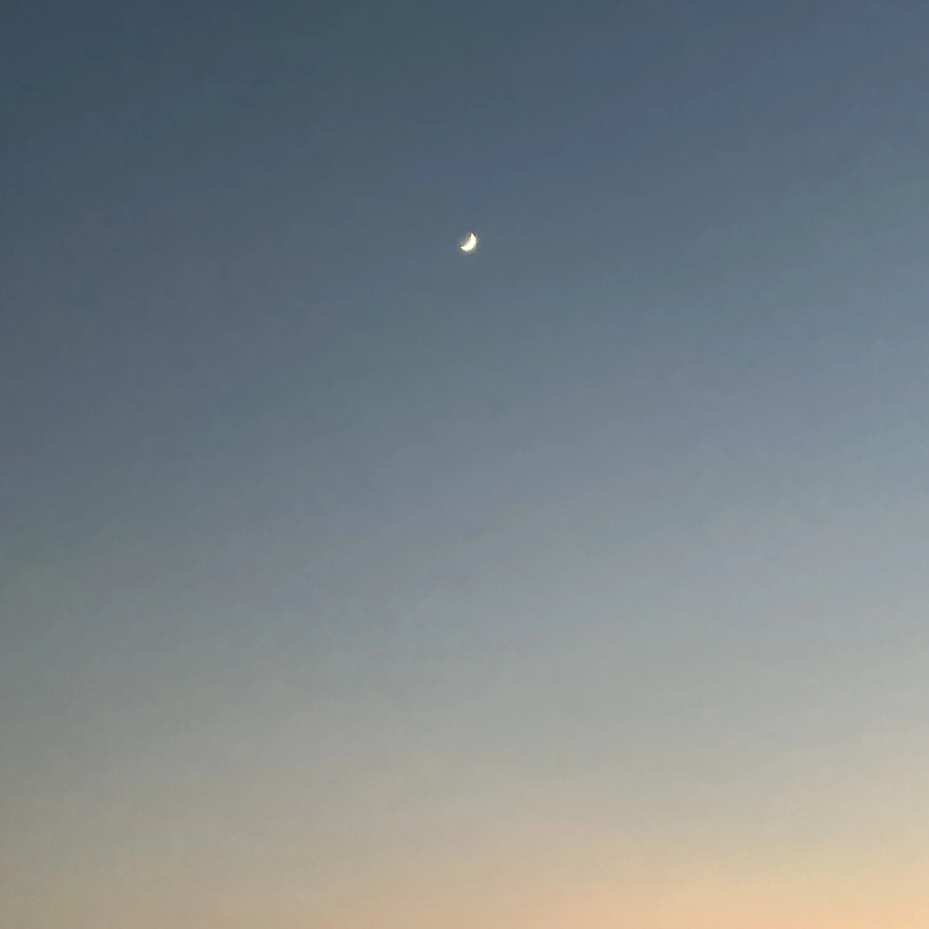 TallDecal8488의 自分用