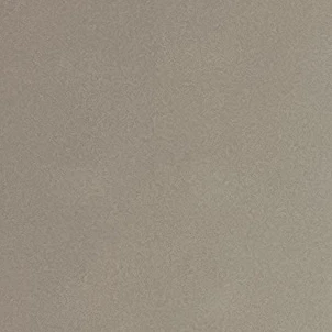 의사 친오빠들
