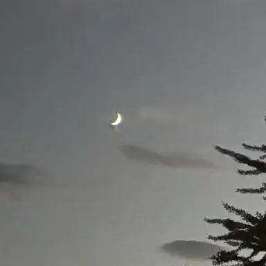 Profile image of たかとくん