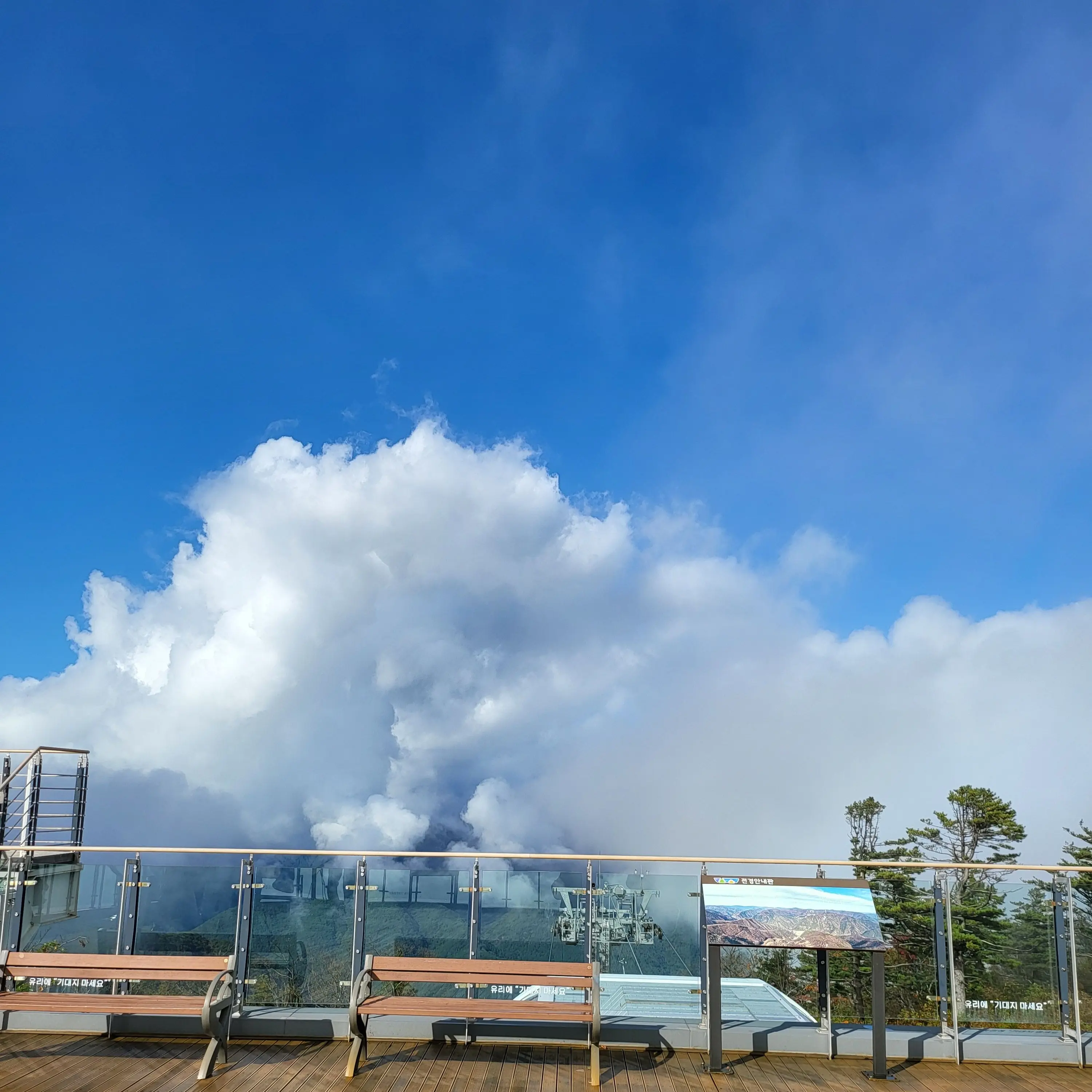 FunnyBonus1816의 F13명