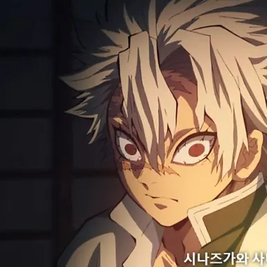 Profile image of 시나즈가와 사네미