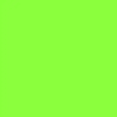 Profile image of 공룡