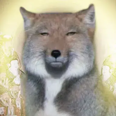 Profile image of 여우