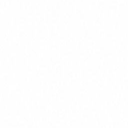 프 로 미 스 나 인 대표 이미지