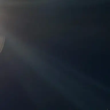 Profile image of 김원필