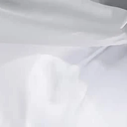 팬