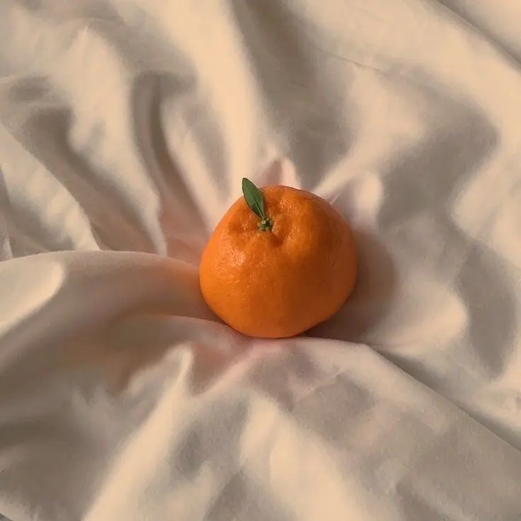 lonelycroissants의 개인용으로 만든거