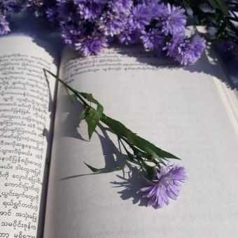 꼬마 킬러 대표 이미지
