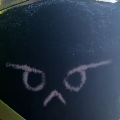 Profile image of 김도영