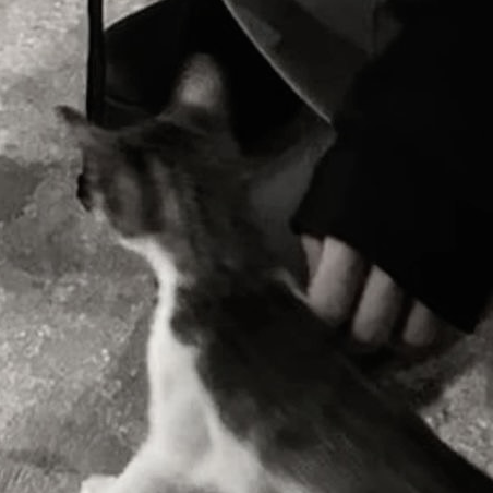 ︎ ︎ 대표 이미지