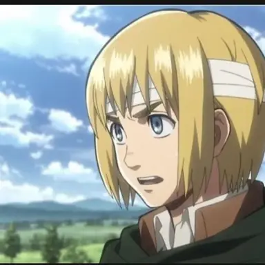 Profile image of アルミン・アルレルト