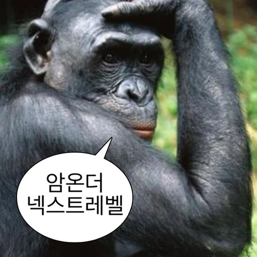 장하오