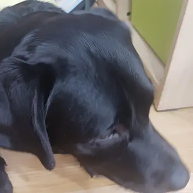 Profile image of 김주아