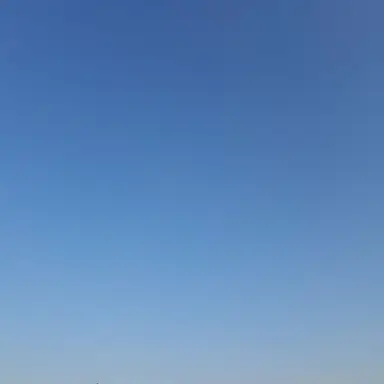 Profile image of 사람들