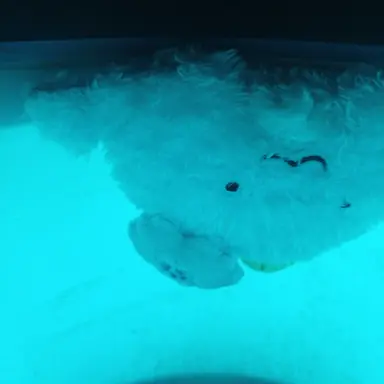 Profile image of 잠뜰