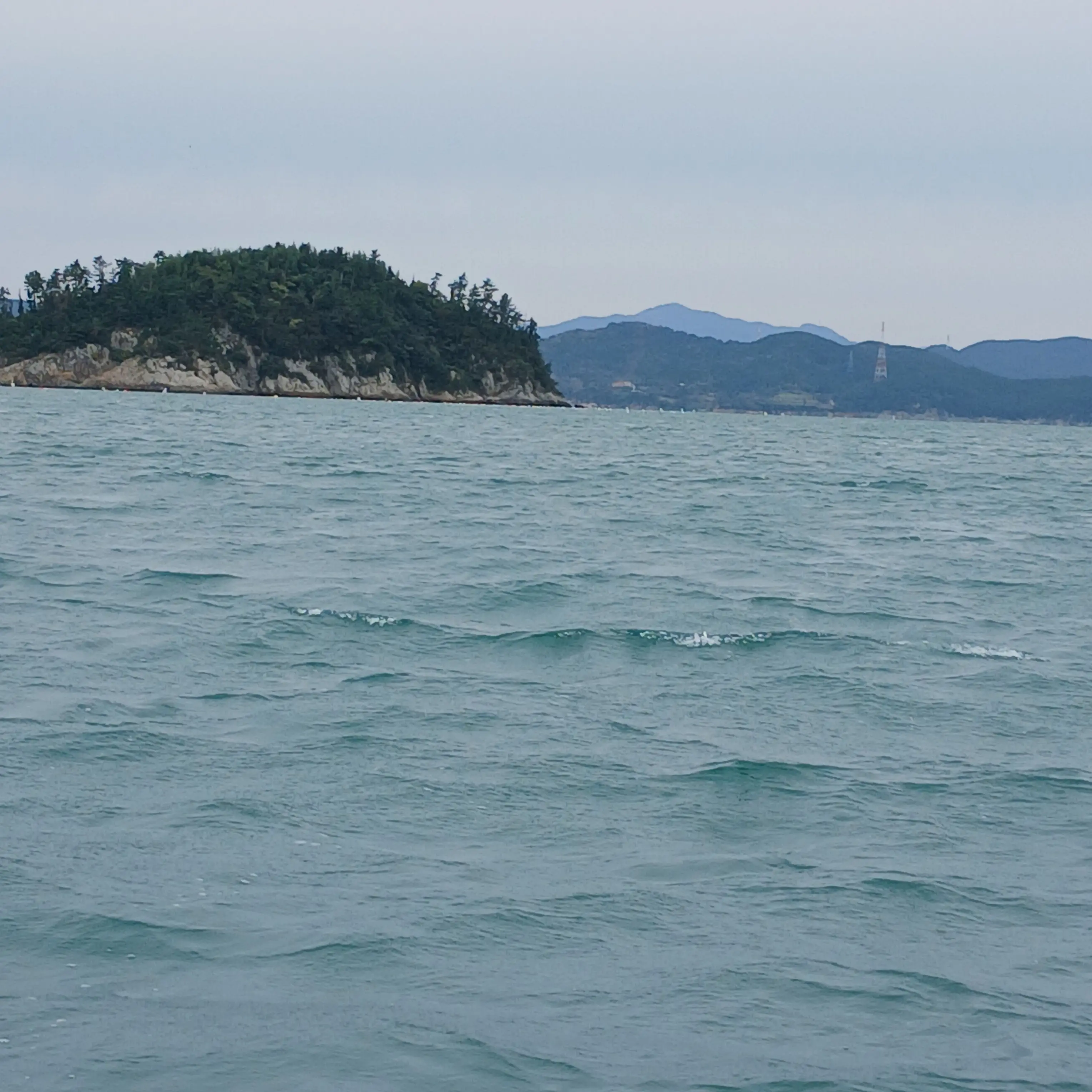 DecentPansy1793의 현서