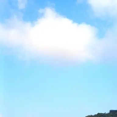 Profile image of 잠뜰